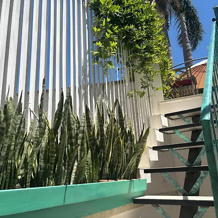 Ophelia Bed and Breakfast