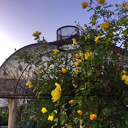 Alojamento de Acomodação e Pequeno-almoço Ophelia 4*