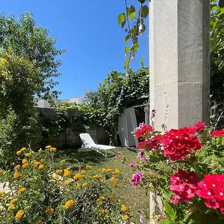 Ophelia Готель типу 