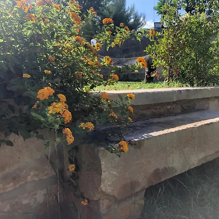 Ophelia Oda ve Kahvaltı 4*