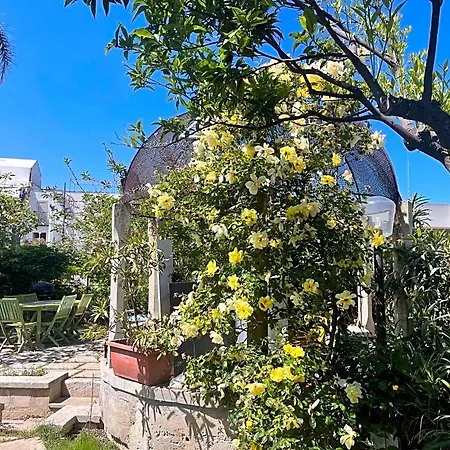 Ophelia Bed & Breakfast 4*