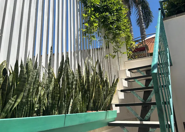 Ophelia Bed and Breakfast